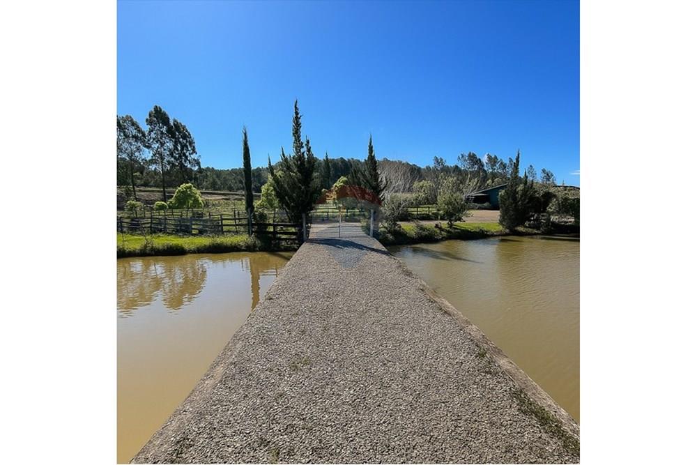 Chácara / Sítio / Fazenda - Venda - Tio Hugo , Rio Grande do Sul - HALL 3.jpg - 612621058-40