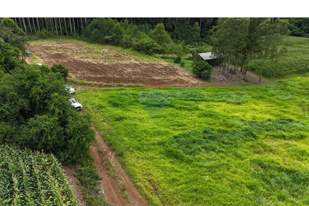 Chácara / Sítio / Fazenda - Venda - Gramado , Rio Grande do Sul - WhatsApp Image 2026-02-24 at 16.26.07 (17).jpeg - 610131034-44