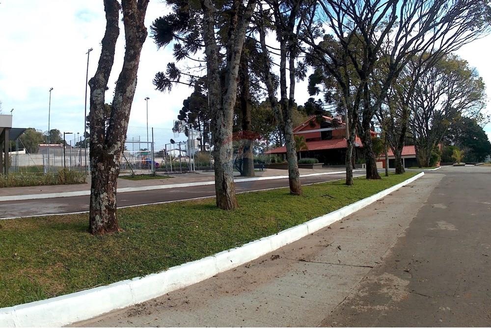 Terreno - Venda - Passo Fundo , Rio Grande do Sul - IPÊS1.jpg - 610271037-82