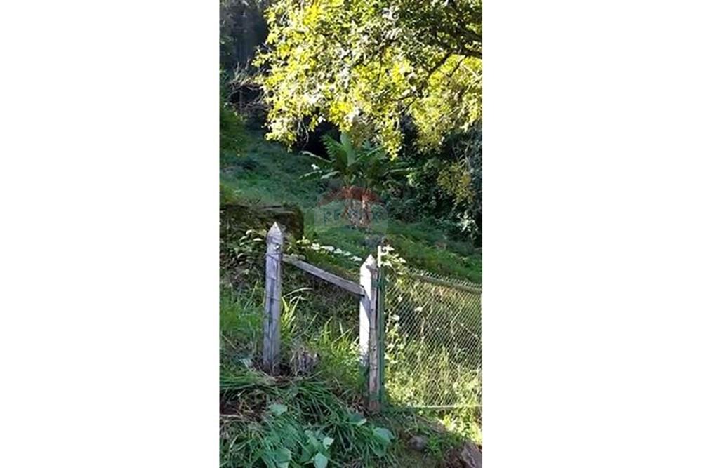 Terreno - Venda - Veranópolis , Rio Grande do Sul - c.jpg - Quintal - 610331058-3