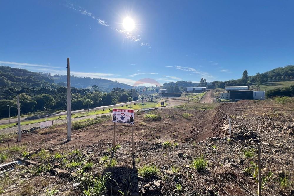 Terreno - Venda - Paulo Bento , Rio Grande do Sul - IMG-20250606-WA0013.jpg - 612761001-41