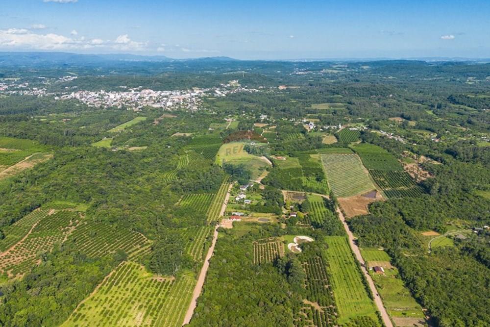Terreno - Venda - Pareci Novo , Rio Grande do Sul - Foto-15.jpg - 610091005-86