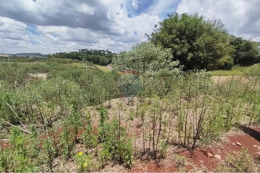 Terreno - Venda - Erechim , Rio Grande do Sul - WhatsApp Image 2025-12-03 at 09.48.07.jpeg - 612761006-64