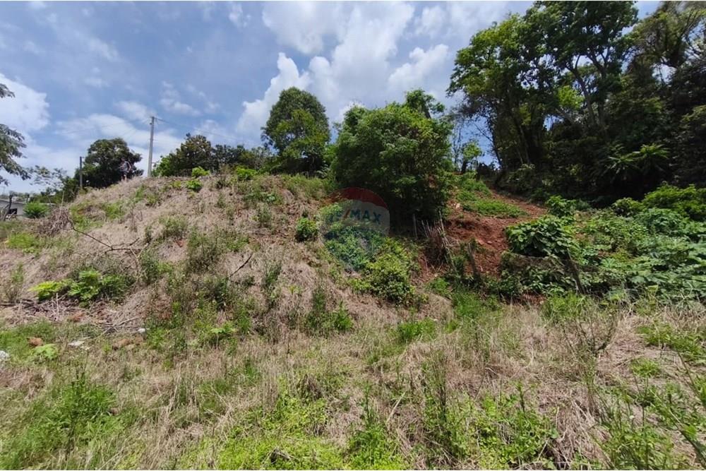 Terreno - Venda - São Valentim , Rio Grande do Sul - WhatsApp Image 2025-10-11 at 13.51.06 (1).jpeg - Fachada - 612761006-54