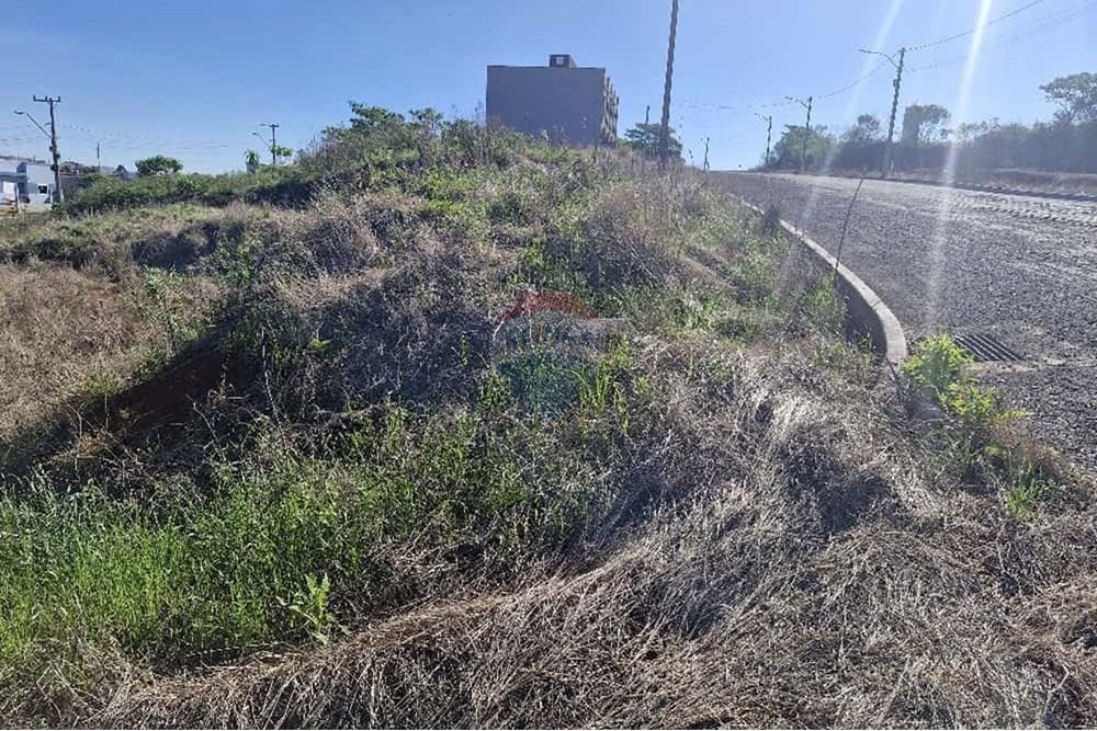 Terreno - Venda - Trindade do Sul , Rio Grande do Sul - IMG-20250917-WA0083.jpg - 610231004-99