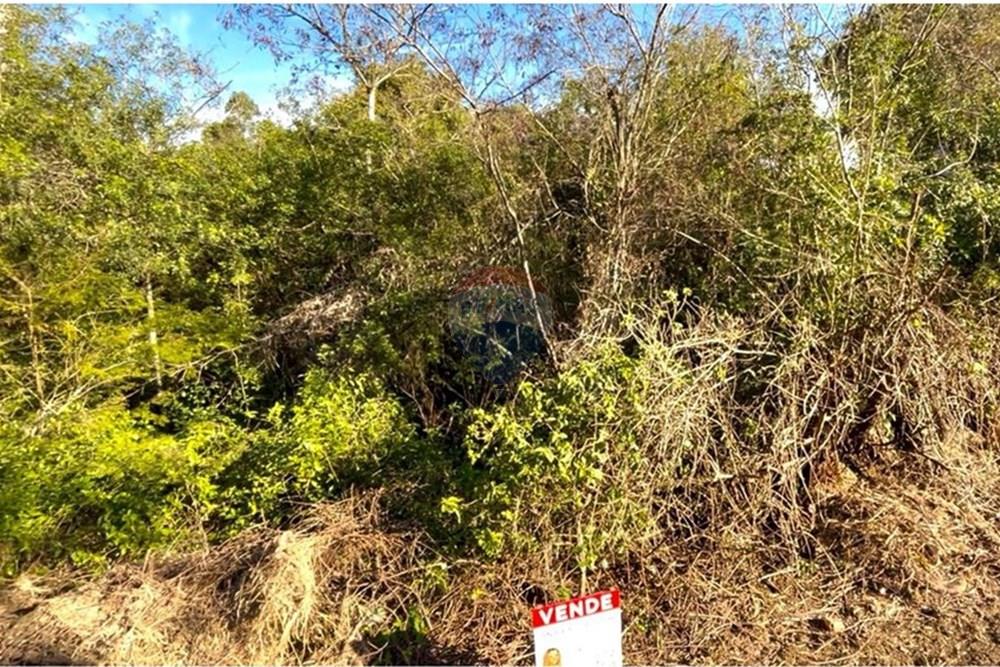 Terreno - Venda - Guaíba , Rio Grande do Sul - Imagem do WhatsApp de 2025-08-28 à(s) 16.10.23_9d5b74ad.jpg - 612781019-16