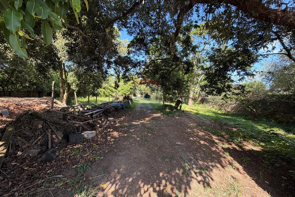 Terreno - Venda - Porto Alegre , Rio Grande do Sul - IMG_3208.jpeg - 612551008-93