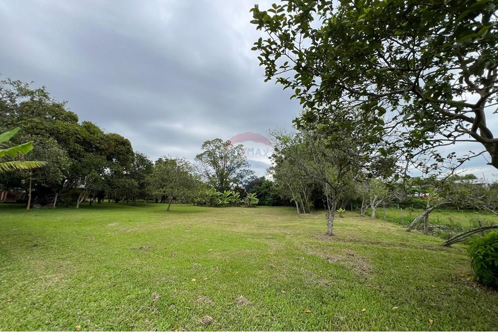 Chácara / Sítio / Fazenda - Venda - Glorinha , Rio Grande do Sul - IMG-20250403-WA0104.jpg - 610161100-29