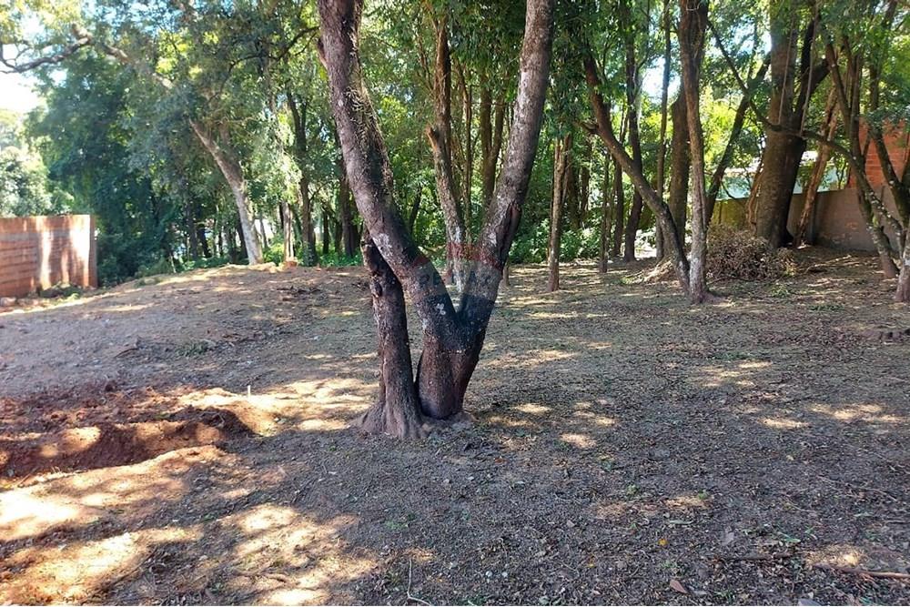 Terreno - Venda - Passo Fundo , Rio Grande do Sul - WhatsApp Image 2026-01-06 at 10.23.50.jpeg - 612721043-11