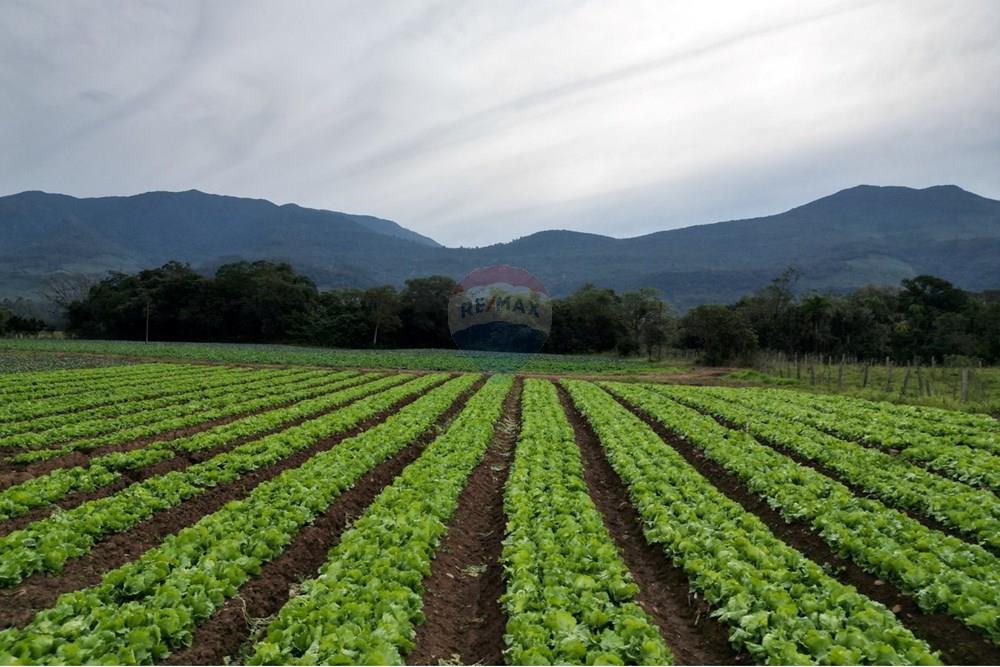 Terreno - Venda - Terra de Areia , Rio Grande do Sul - f6485825-5d8f-4f29-b5d7-84b47ef45e71.jpg - 612671028-46