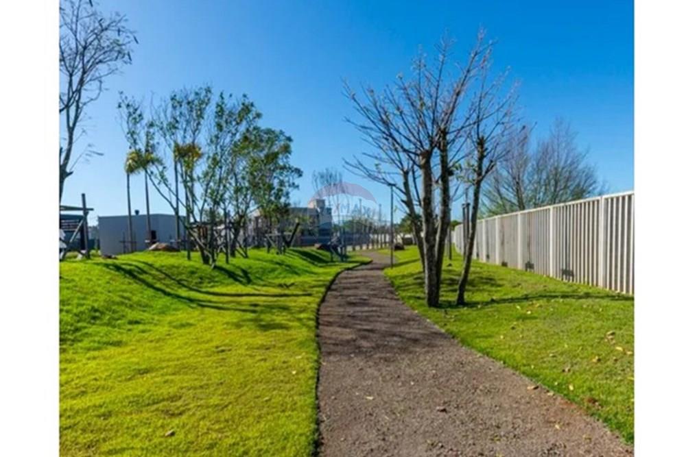 Terreno - Venda - Gravataí , Rio Grande do Sul - IMG_20240829_114224.jpg - 610161080-44