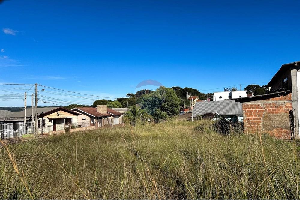 Terreno - Venda - Lagoa Vermelha , Rio Grande do Sul - WhatsApp Image 2025-05-20 at 09.47.06 (1).jpeg - 610111005-239