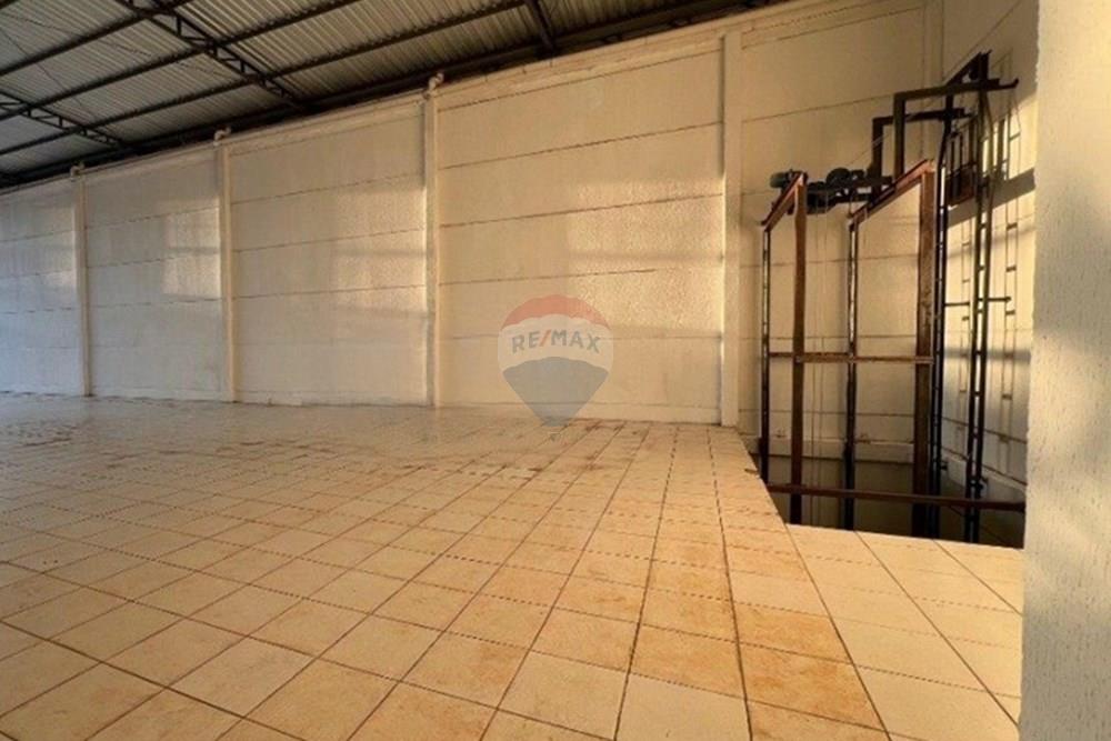 Ponto Comercial/ Loja - Alugar - Passo Fundo , Rio Grande do Sul - ifddHv5j5m5G69WB9_10164669fc52cd8c5f.jpg - 610271045-1066