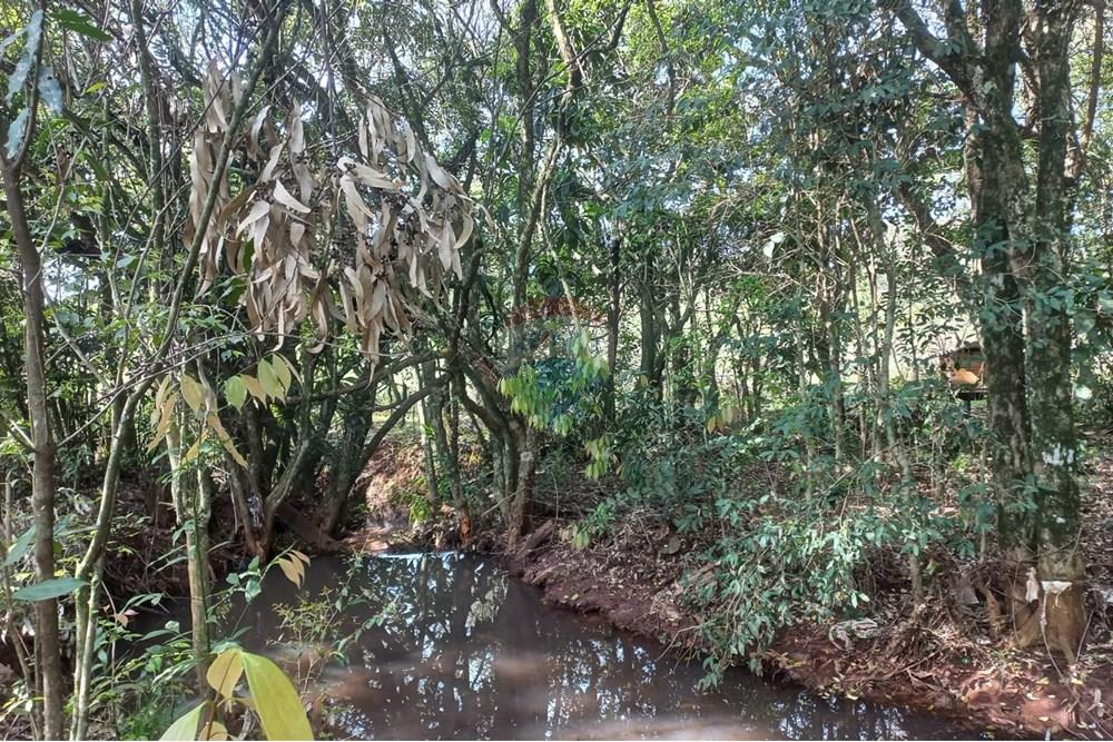 Chácara / Sítio / Fazenda - Venda - Nonoai , Rio Grande do Sul - IRIA 09.jpg - 610231002-40