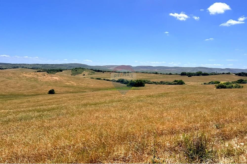 Chácara - Venda - Lavras do Sul , Rio Grande do Sul - WhatsApp Image 2025-01-13 at 23.11.10.jpeg - 612631031-7