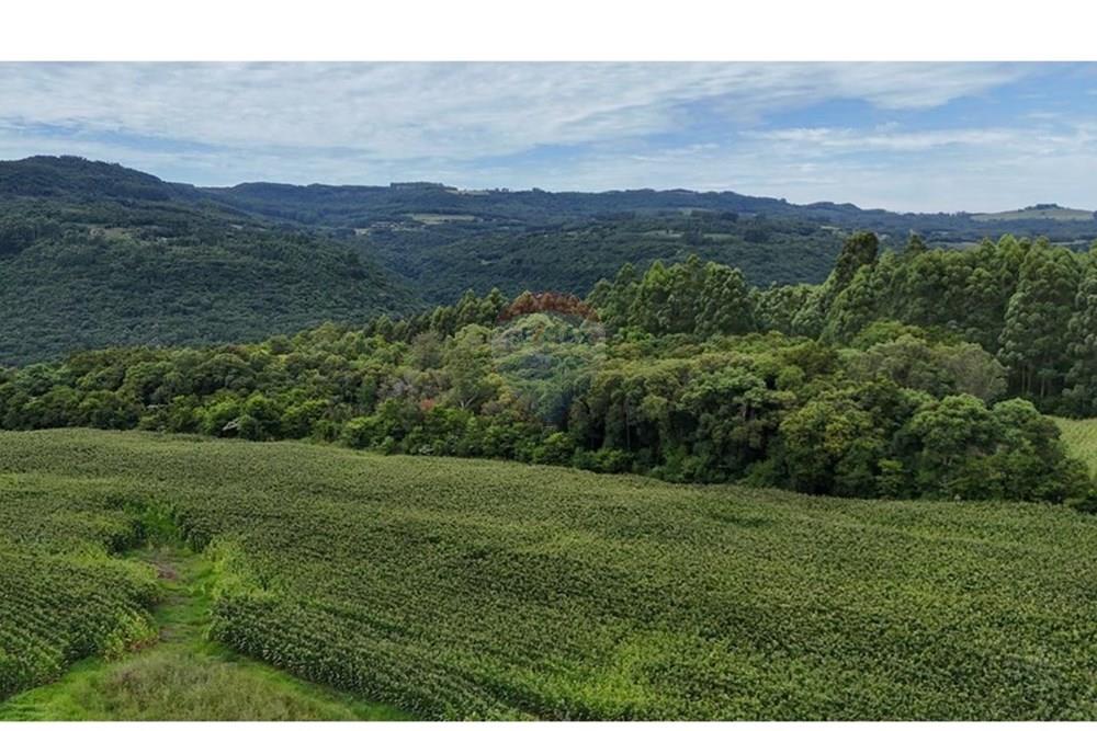 Chácara / Sítio / Fazenda - Venda - Gramado , Rio Grande do Sul - WhatsApp Image 2026-02-24 at 16.26.07 (9).jpeg - 610131034-44