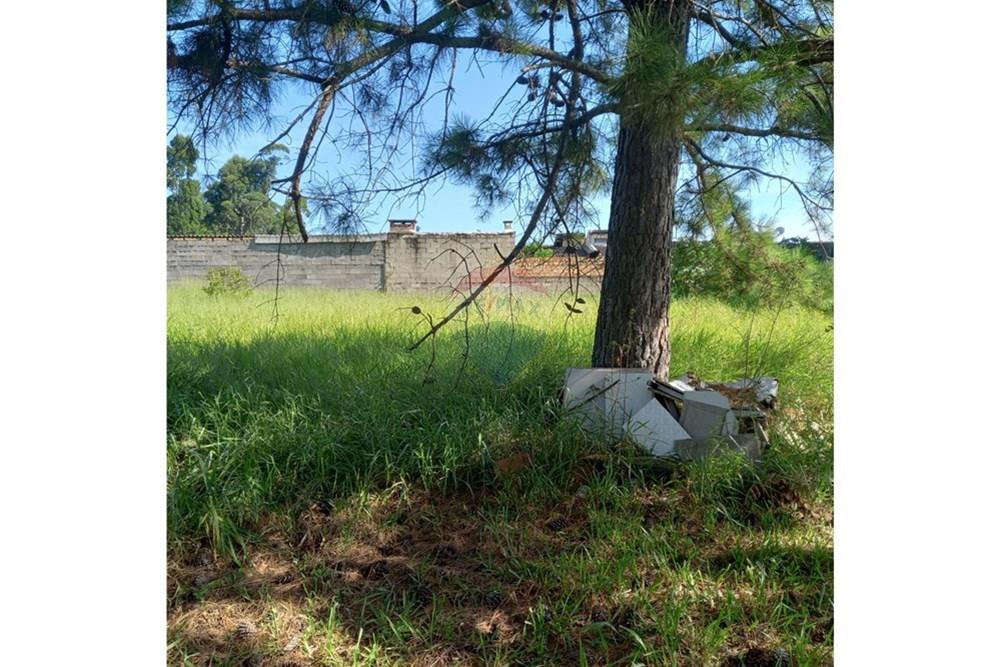 Terreno - Venda - Gravataí , Rio Grande do Sul - WhatsApp Image 2026-01-29 at 15.43.17 (1).jpeg - 610141011-88