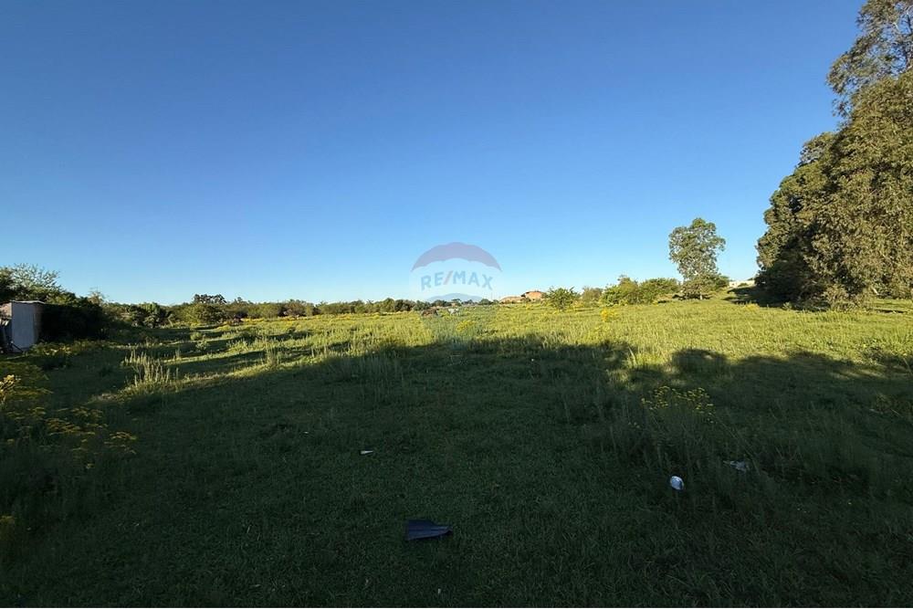 Terreno - Venda - São Gabriel , Rio Grande do Sul - Imagem do WhatsApp de 2025-10-16 à(s) 14.42.39_2a8ad5e4.jpg - 612631046-34