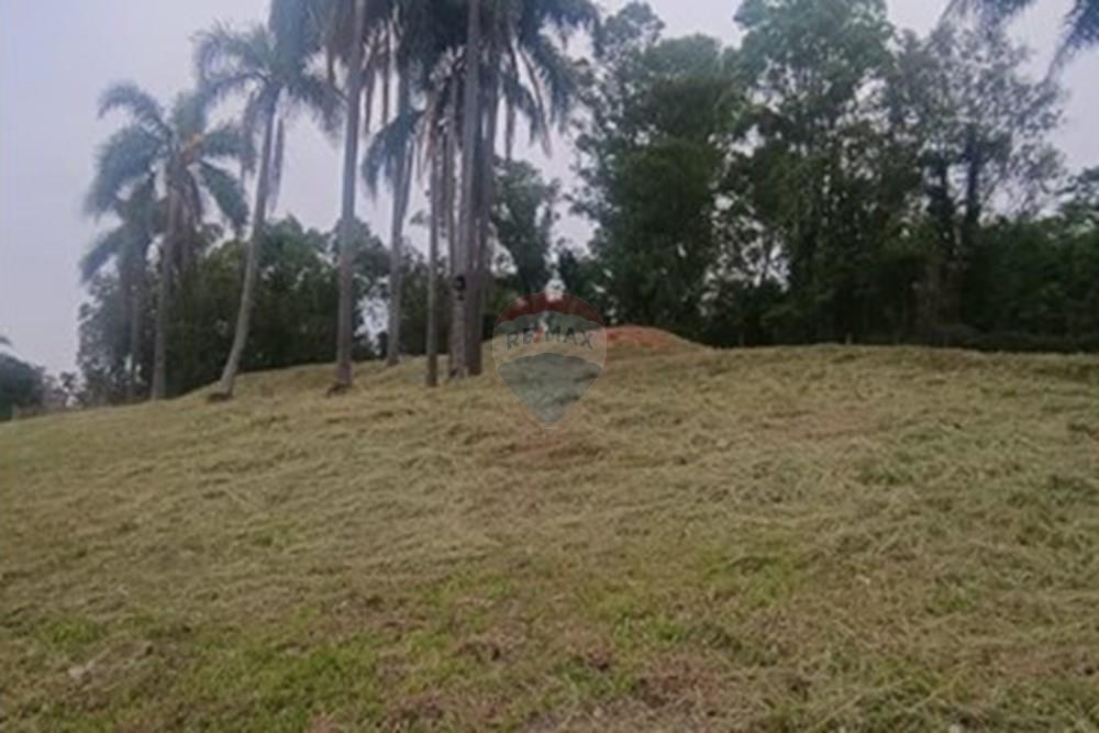 Terreno - Venda - Garibaldi , Rio Grande do Sul - WhatsApp Image 2025-10-31 at 15.00.08.jpeg - 610331050-3