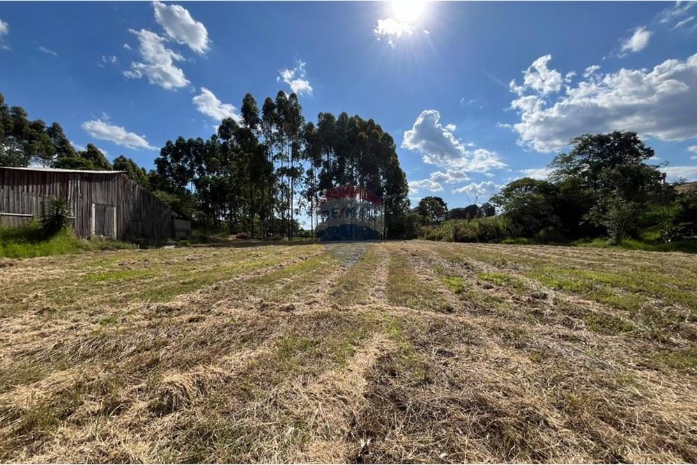 Chácara / Sítio / Fazenda - Venda - Trindade do Sul , Rio Grande do Sul - WhatsApp Image 2024-12-13 at 18.19.32.jpeg - 610231026-29