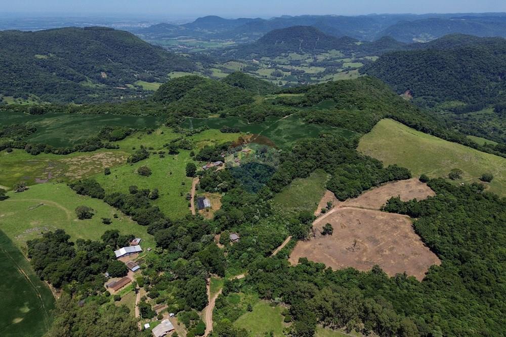 Chácara / Sítio / Fazenda - Venda - Silveira Martins , Rio Grande do Sul - DJI_0818.jpg - 610311058-39