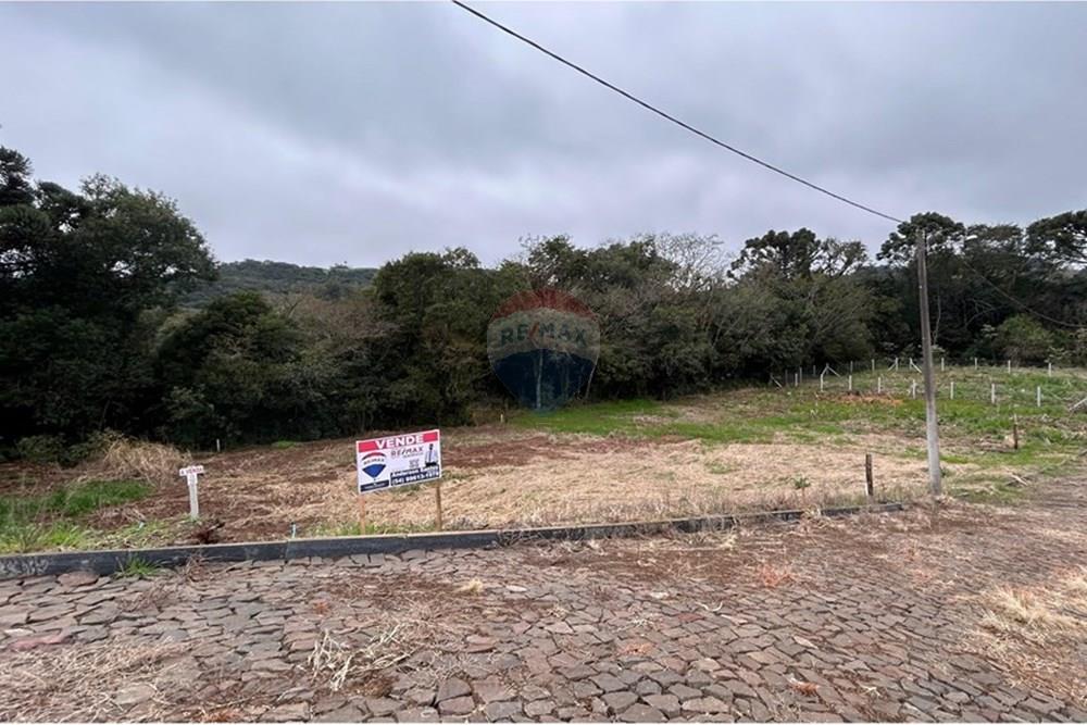 Terreno - Venda - Barão de Cotegipe , Rio Grande do Sul - WhatsApp Image 2025-08-09 at 14.36.30 (1).jpeg - Fachada - 612761035-7