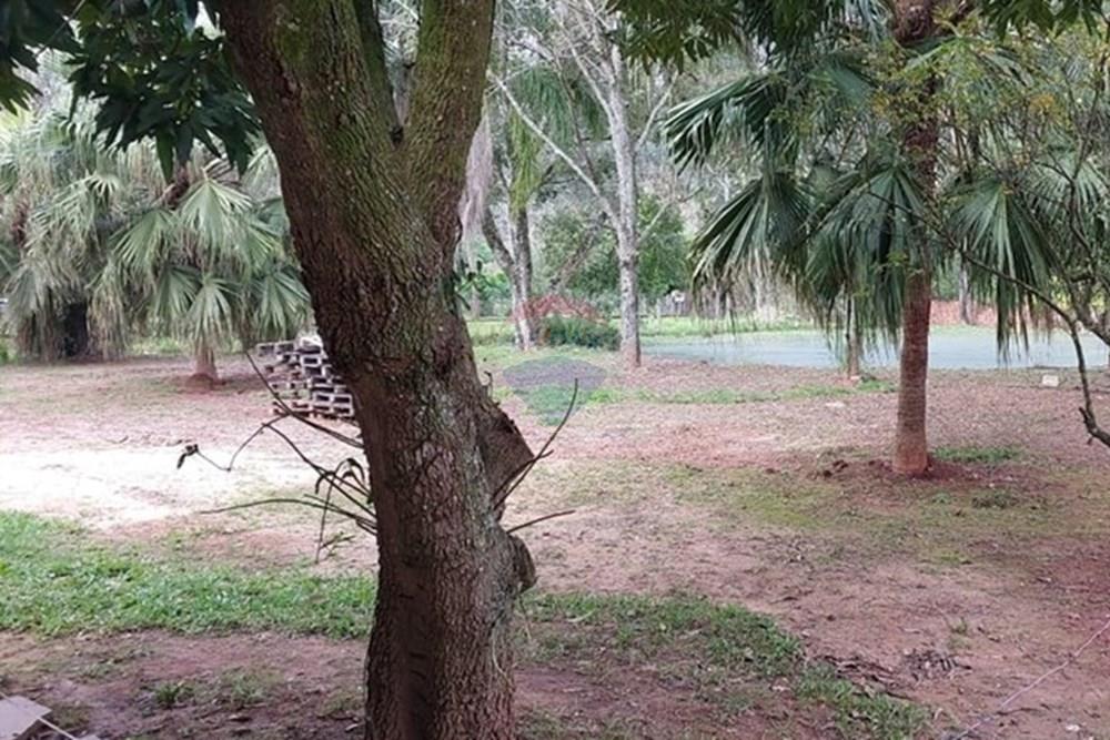 Chácara / Sítio / Fazenda - Venda - Cachoeirinha , Rio Grande do Sul - WhatsApp Image 2025-10-14 at 12.34.30 (1).jpeg - 612551074-25