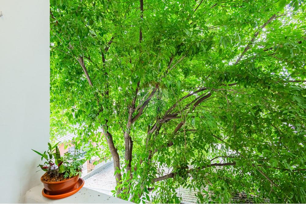 Apartamento - Venda - Porto Alegre , Rio Grande do Sul - IMG_9778.jpg - 612521081-3