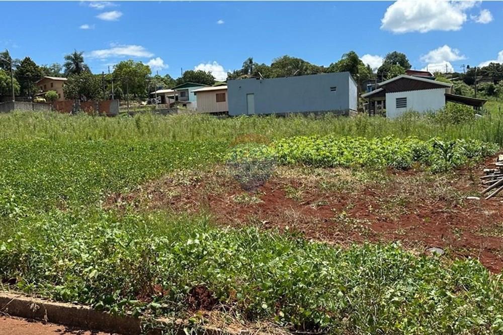 Terreno - Venda - Trindade do Sul , Rio Grande do Sul - WhatsApp Image 2026-01-06 at 15.40.03.jpeg - 610231001-226