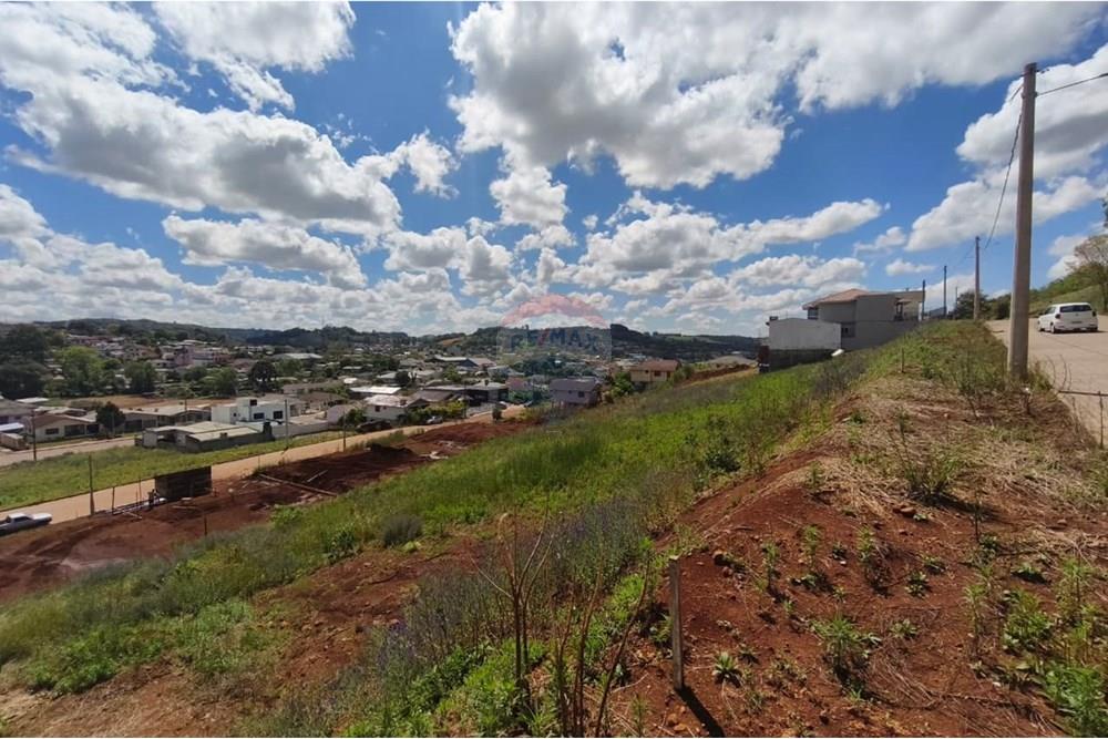 Terreno - Venda - Barão de Cotegipe , Rio Grande do Sul - Imagem do WhatsApp de 2025-10-10 à(s) 15.11.23_97e2028c.jpg - 612761047-5