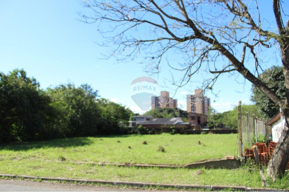 Terreno - Venda - Gravataí , Rio Grande do Sul - IMG_3914.JPG - 610161071-7