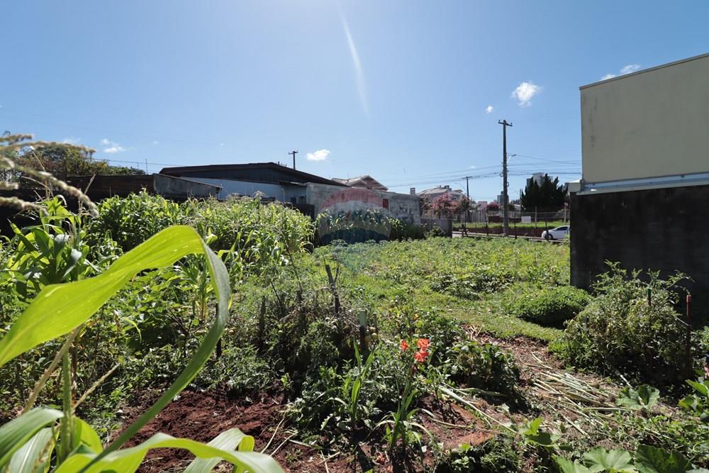 Terreno - Venda - Passo Fundo , Rio Grande do Sul - IMG_4866.JPG - 610271075-18