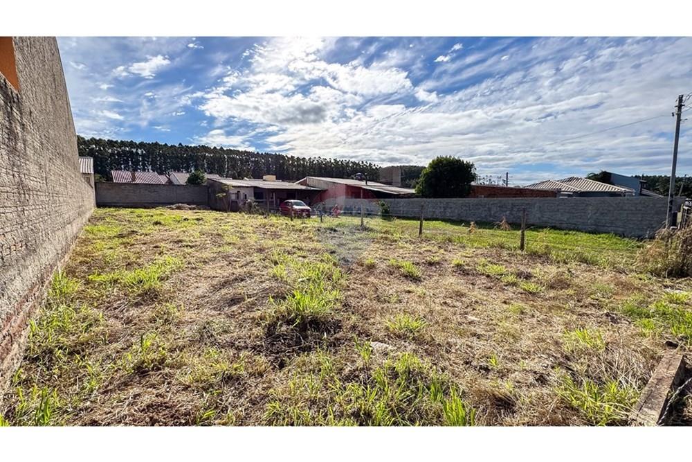 Terreno - Venda - Guaíba , Rio Grande do Sul - IMG_8148.jpg - 612781004-69