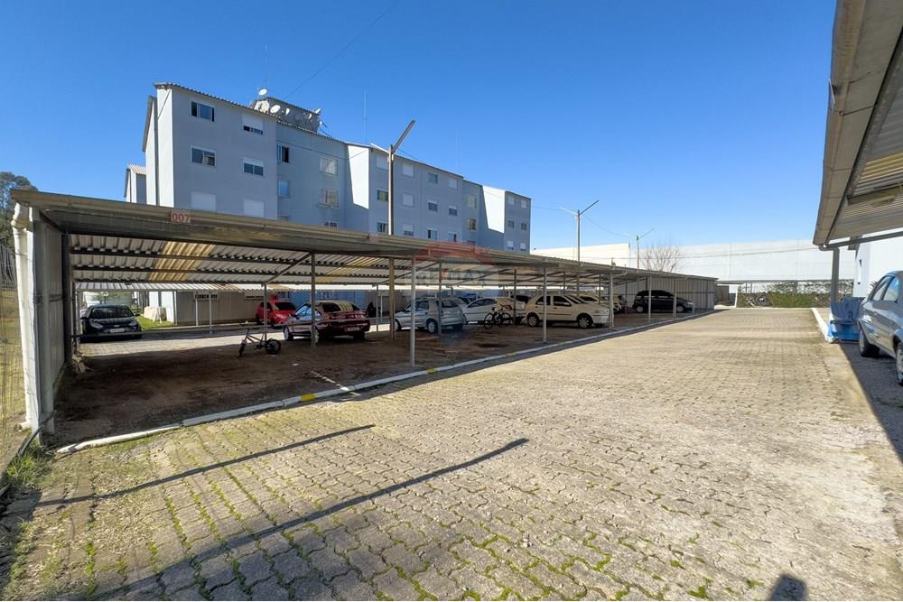 Apartamento - Venda - Bento Gonçalves , Rio Grande do Sul - IMG_6178.jpg - 610251022-10