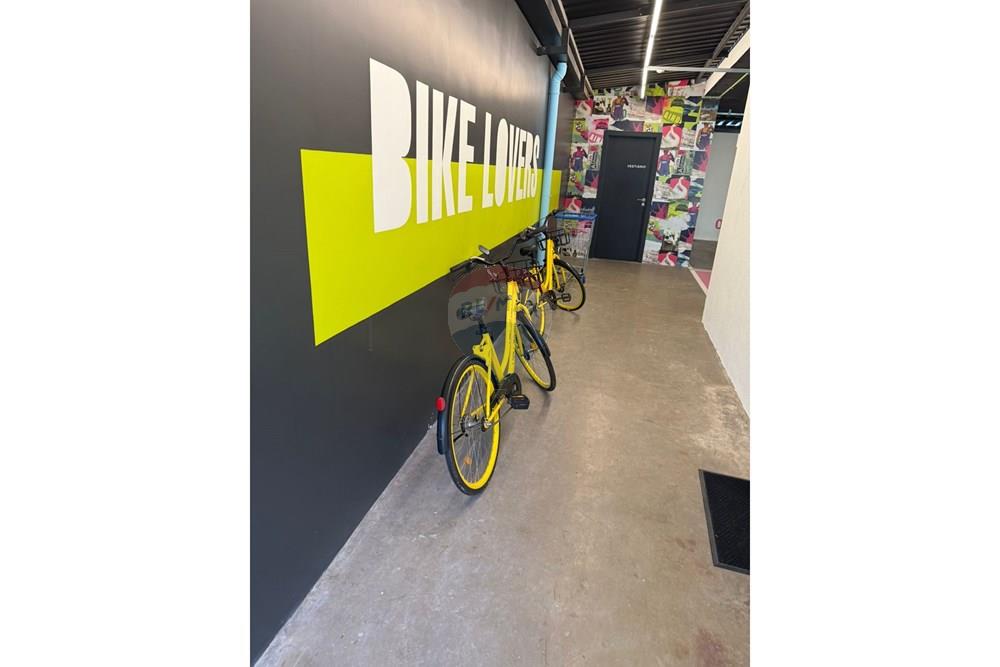 Studio - Alugar - Santa Maria , Rio Grande do Sul - 551436bb-62eb-44a2-97d8-66f749a79bd5.jpg - 610471020-29