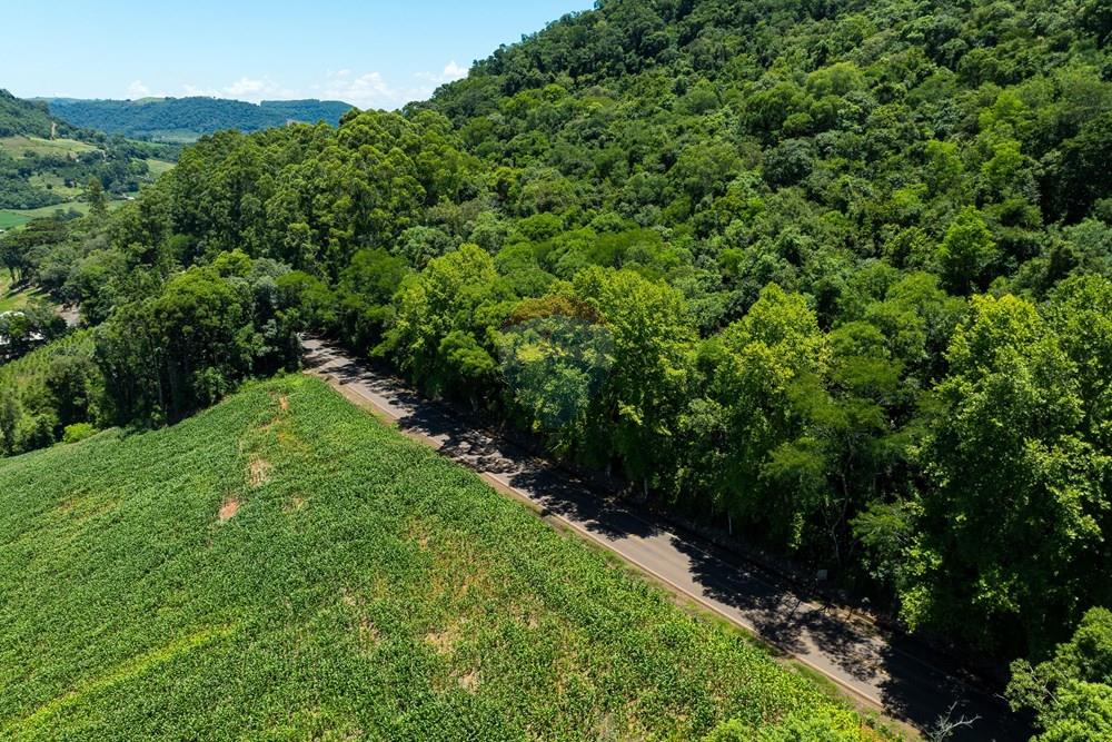 Terreno - Venda - Severiano de Almeida , Rio Grande do Sul - DJI_0259.jpg - 612761027-22