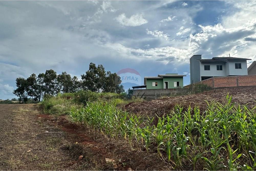 Terreno - Venda - Trindade do Sul , Rio Grande do Sul - WhatsApp Image 2026-03-26 at 10.35.47pp.jpeg - 610231001-238