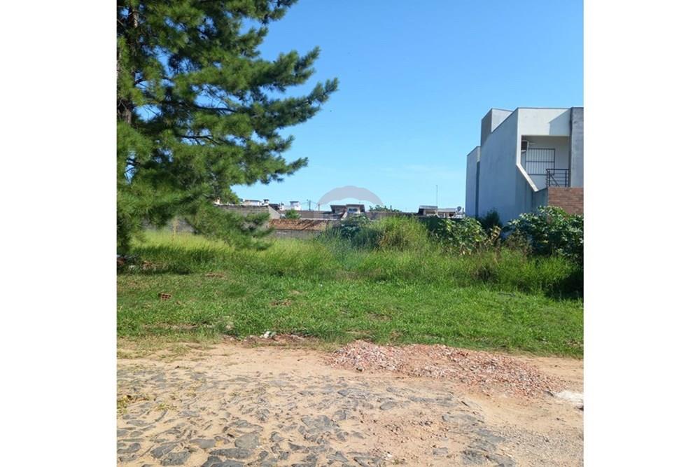 Terreno - Venda - Gravataí , Rio Grande do Sul - WhatsApp Image 2026-01-29 at 15.41.53 (7).jpeg - 610141011-87