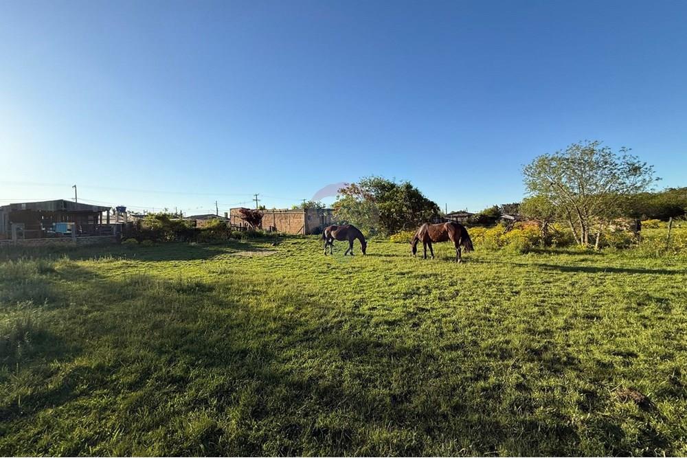 Terreno - Venda - São Gabriel , Rio Grande do Sul - Imagem do WhatsApp de 2025-10-16 à(s) 14.42.36_3b666819.jpg - 612631046-34