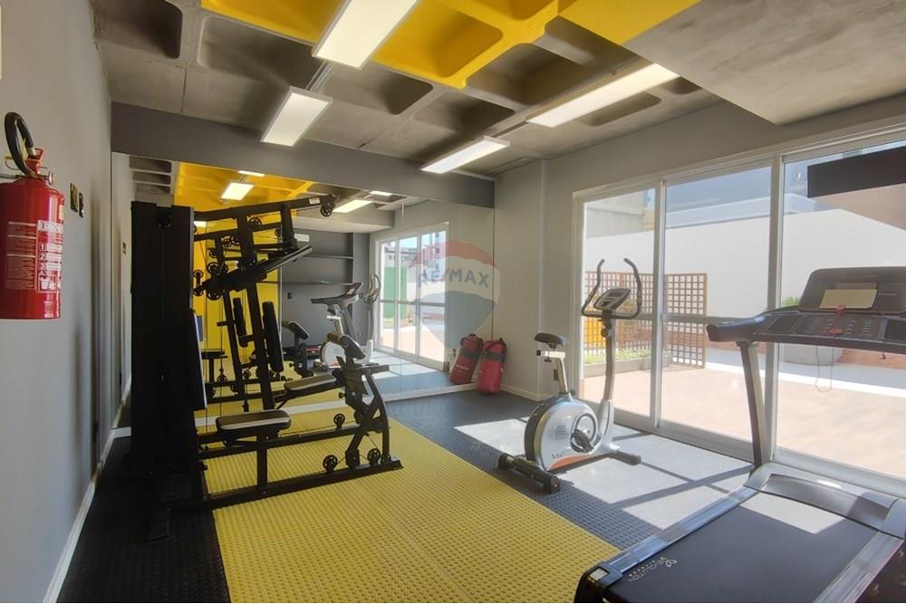 Studio - Alugar - Passo Fundo , Rio Grande do Sul - i4cr88k7l99Hb436VjM8_1708760b37e8f108d9.jpg - 610271045-1100