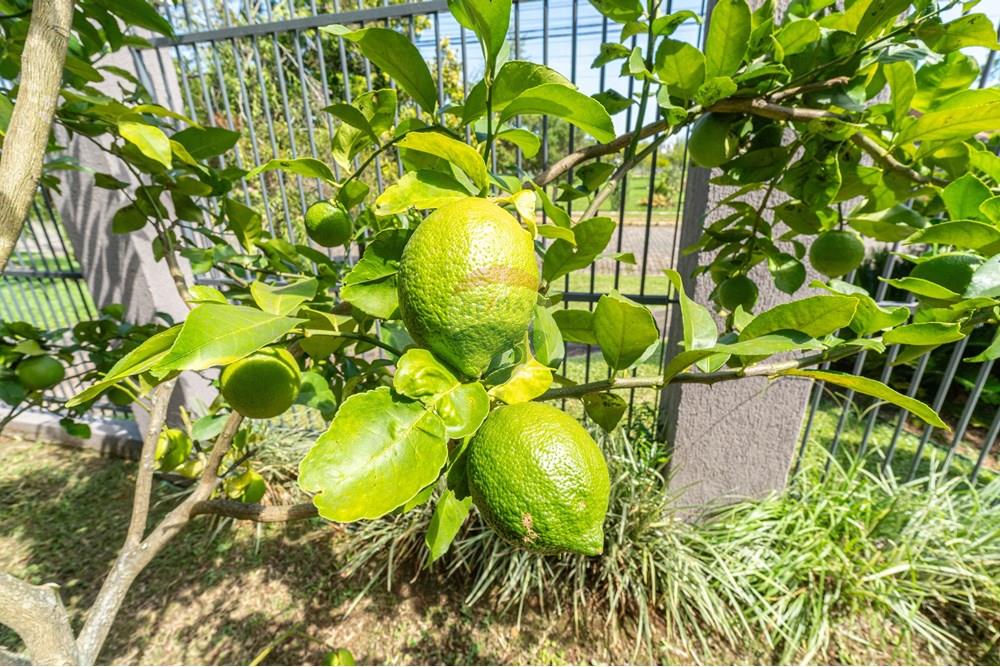 Casa - Venda - Canoas , Rio Grande do Sul - DSC05282.jpg - 612481002-115