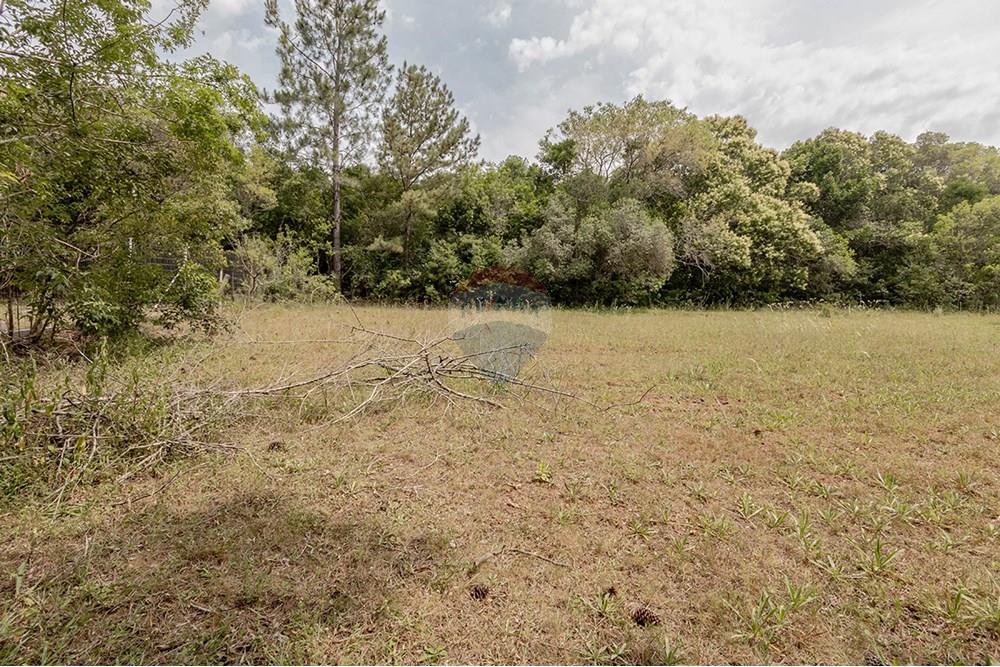 Terreno - Venda - Porto Alegre , Rio Grande do Sul - 0805-272 (19).jpg - 612521075-18