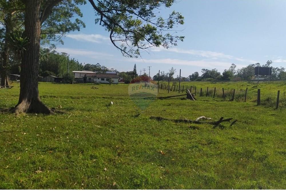 Terreno - Venda - Terra de Areia , Rio Grande do Sul - 878368c5-9a8c-4eb0-b3d8-203f8a2d75c3.jpg - 612671028-42