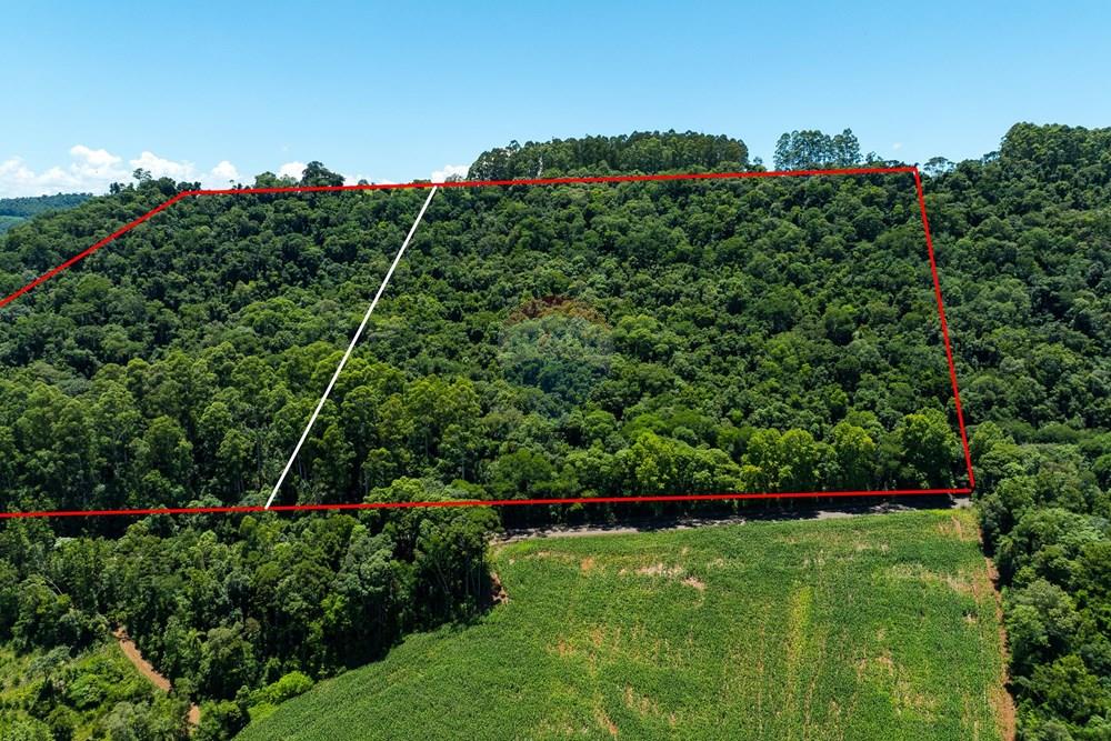 Terreno - Venda - Severiano de Almeida , Rio Grande do Sul - DJI_0253.jpg - 612761027-22