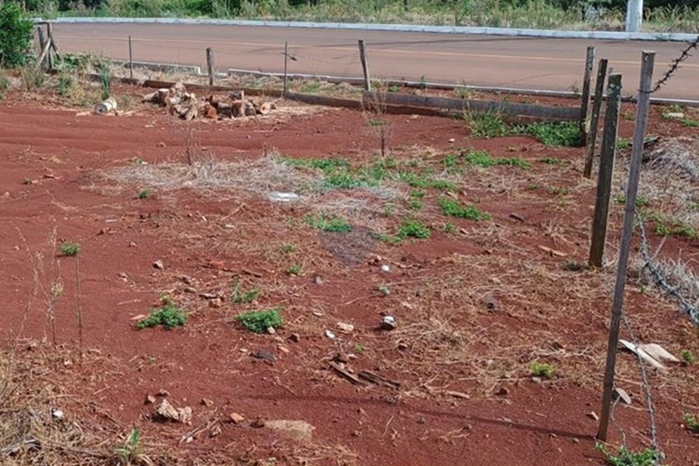 Terreno - Venda - Três Palmeiras , Rio Grande do Sul - WhatsApp Image 2026-02-17 at 09.41.16 (1).jpeg - 610231038-12