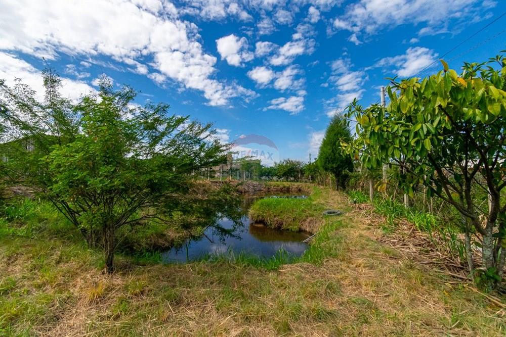 Casa de Campo - Venda - Gravataí , Rio Grande do Sul - WhatsApp Image 2026-04-03 at 10.32.04 (1).jpeg - 610051074-38