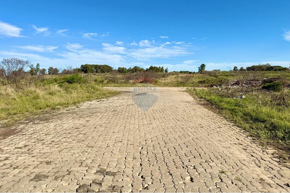 Terreno - Venda - São Gabriel , Rio Grande do Sul - 3a12510b-0c06-41d4-b006-ccda20611954.jpeg - 612631037-8