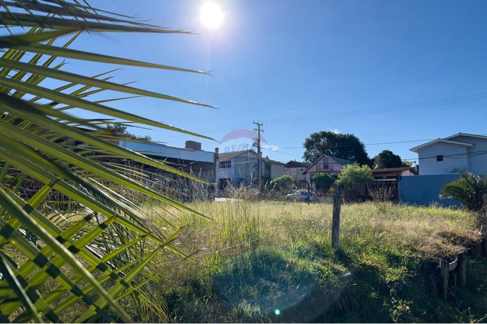 Terreno - Venda - Lagoa Vermelha , Rio Grande do Sul - WhatsApp Image 2025-05-20 at 09.47.00 (1).jpeg - 610111005-240