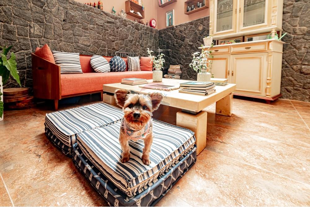 Apartamento - Venda - Porto Alegre , Rio Grande do Sul - IMG_5843.jpg - 610221014-301