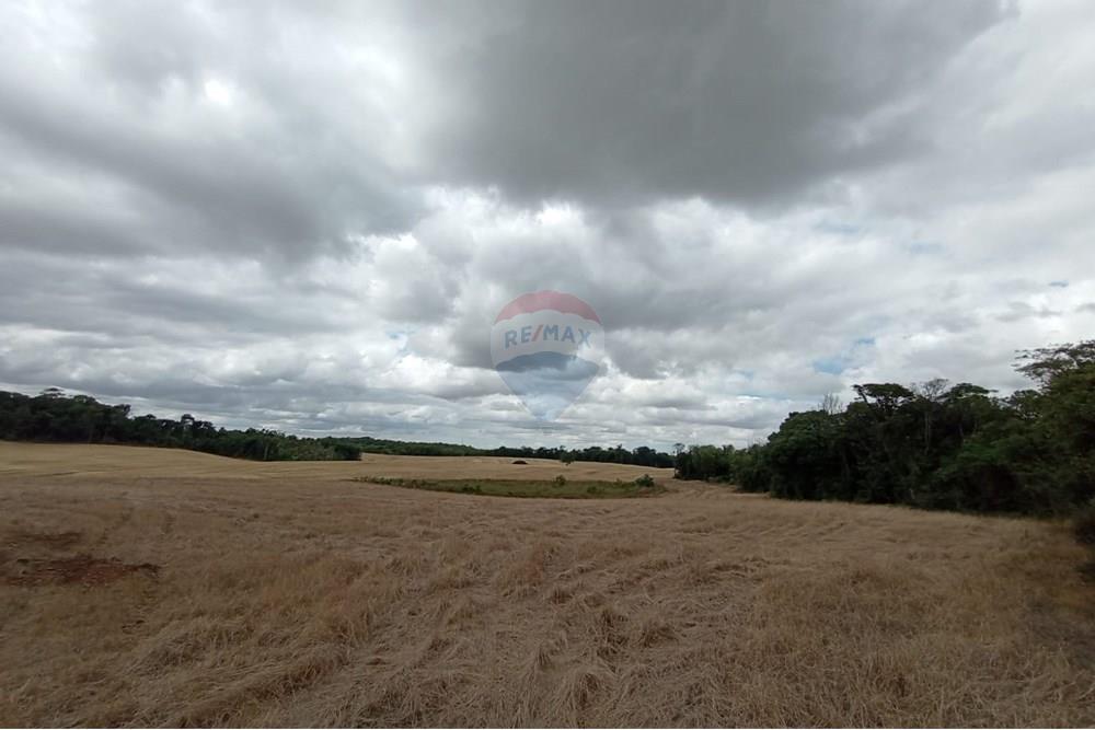 Chácara / Sítio / Fazenda - Venda - Sarandi , Rio Grande do Sul - WhatsApp Image 2025-11-26 at 16.01.42 (1).jpeg - 610341020-16